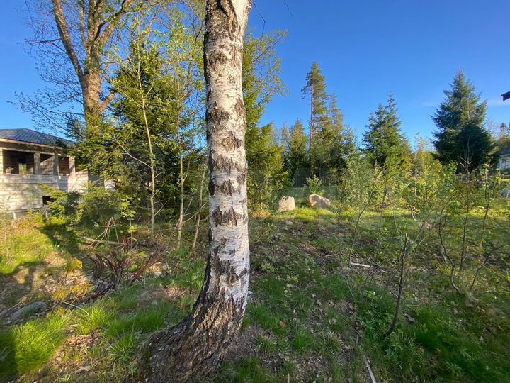 Дом 230 м² на участке 20 сот.