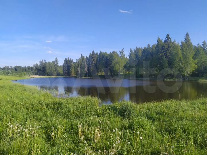 Участок 12 сот. (СНТ, ДНП)