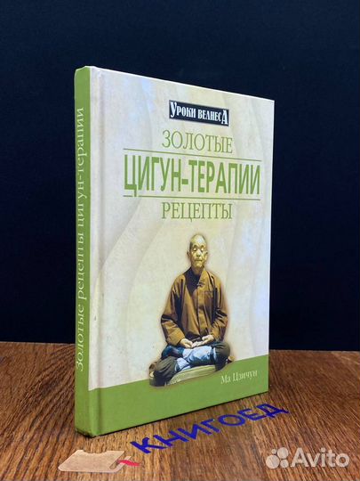Энциклопедия цигун. Золотые рецепты цигун-терапии
