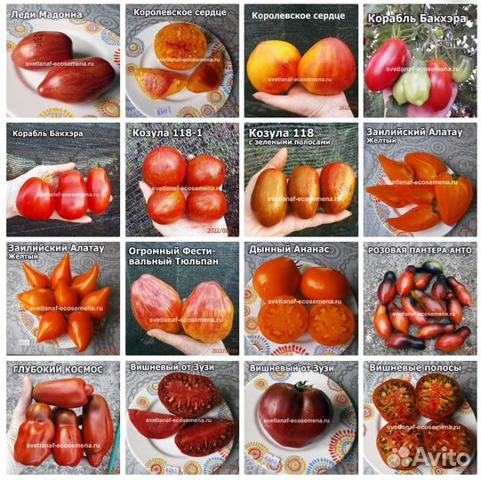 Коллекционные семена томатов и перцев