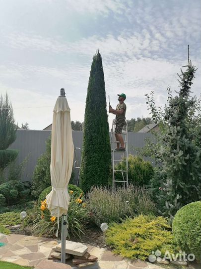 Ландшафтные работы