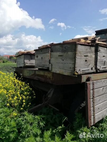 Сушь,улья б/у,рамки бу,прицеп для перевозки пчёл