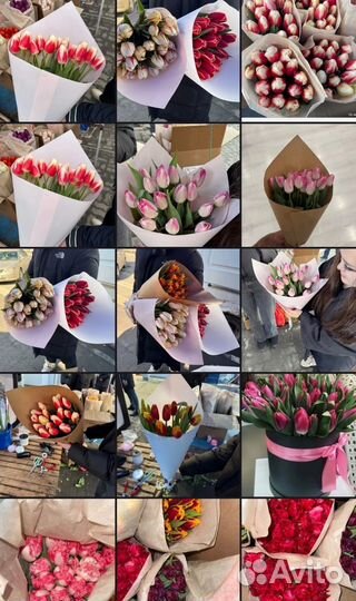 Тюльпаны сегодня 8 мариа