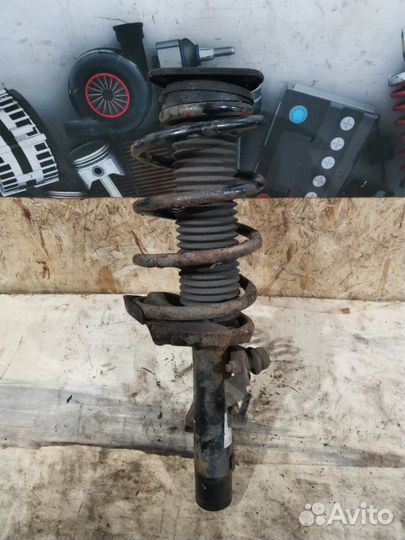 Амортизатор подвески передний левый Ford Focus 2