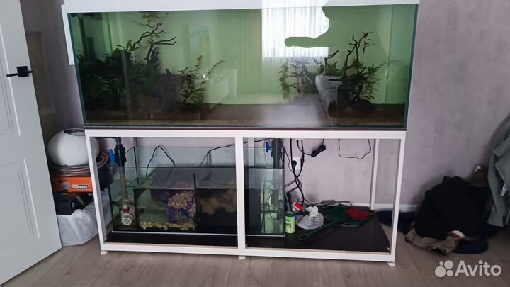 Аквариум+самп