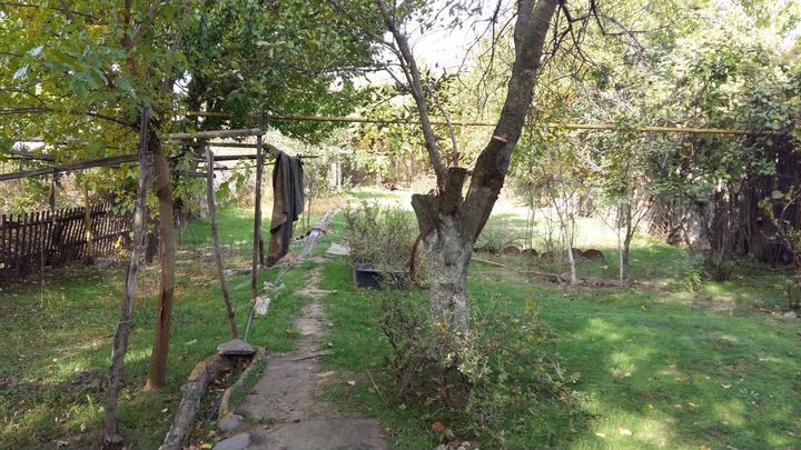 Дом 60 м² на участке 6 сот.