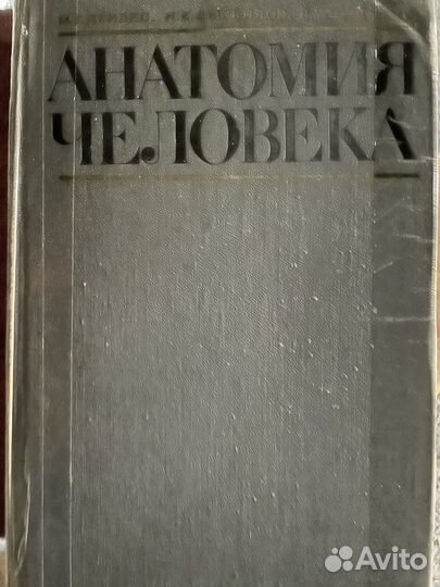 Анатомия человека