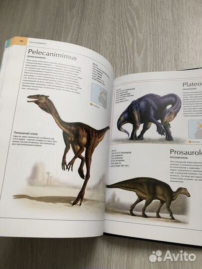 Иллюстрированный атлас Динозавры