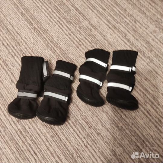 Зимняя обувь для собак