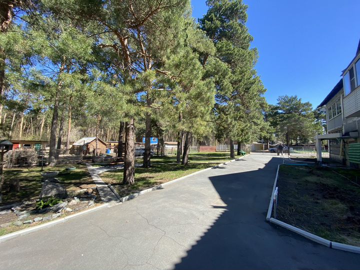 3-к. квартира, 65 м², 1/2 эт.