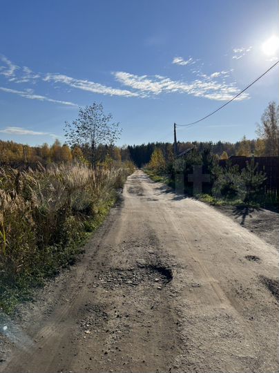 Участок 32 сот. (СНТ, ДНП)