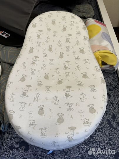 Кокон Зевушка