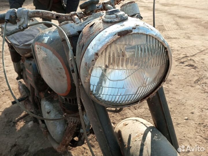 Паннония на органы