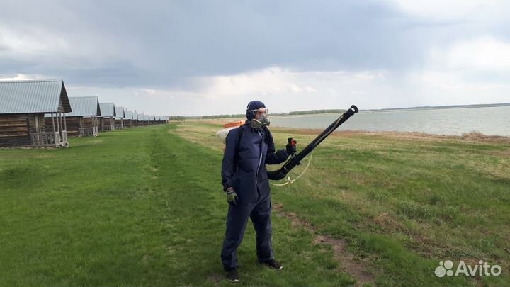 Уничтожение Клопов Тараканов Дезинсекция