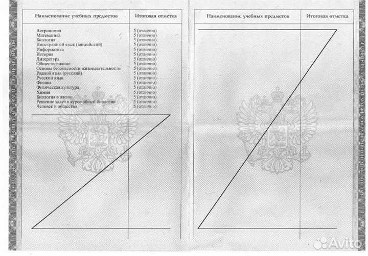 Репетитор по обществознанию ЕГЭ