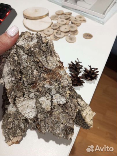 Кора дерева природный декор