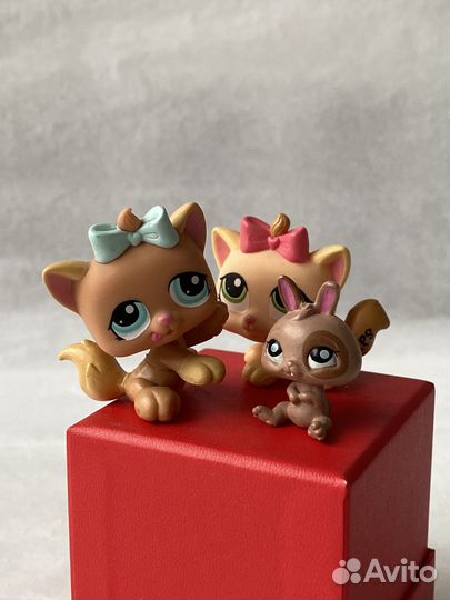 Мини Littlest Pet Shop зайчик 2010г редкий