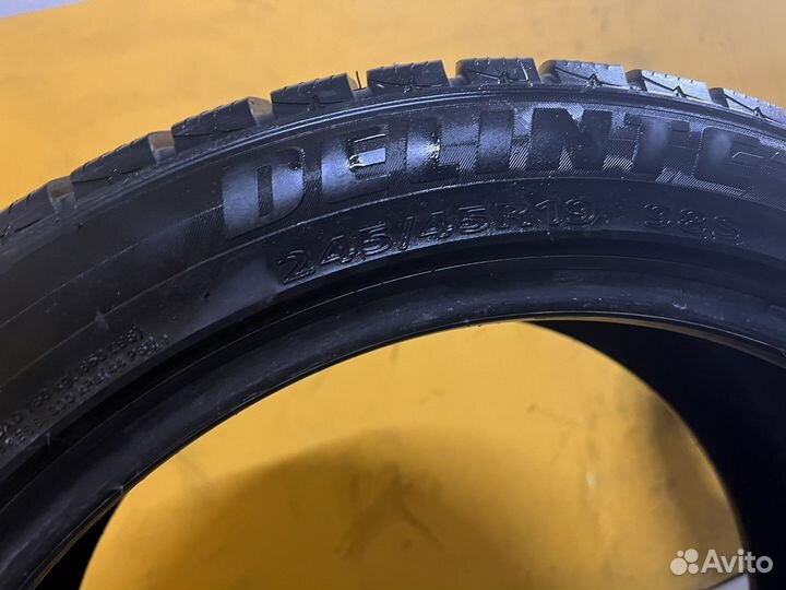 Delinte Winter WD1 245/45 R19 и 275/40 R19