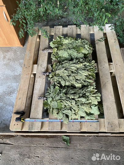 Банные веники