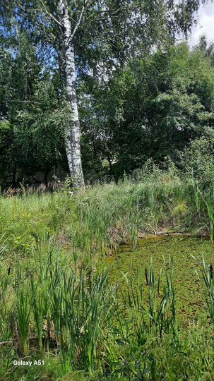 Участок 9 сот. (СНТ, ДНП)