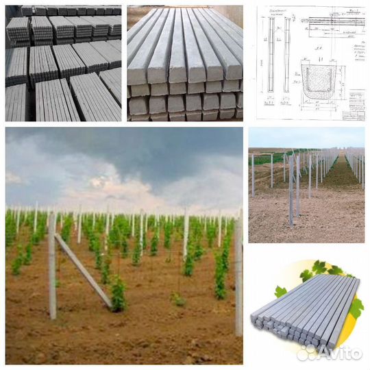 Виноградные столбики