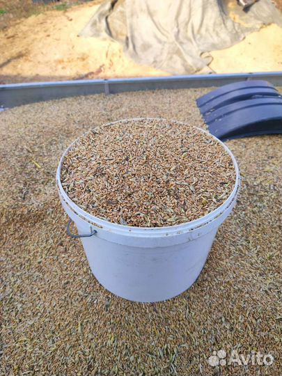 Зерноотходы