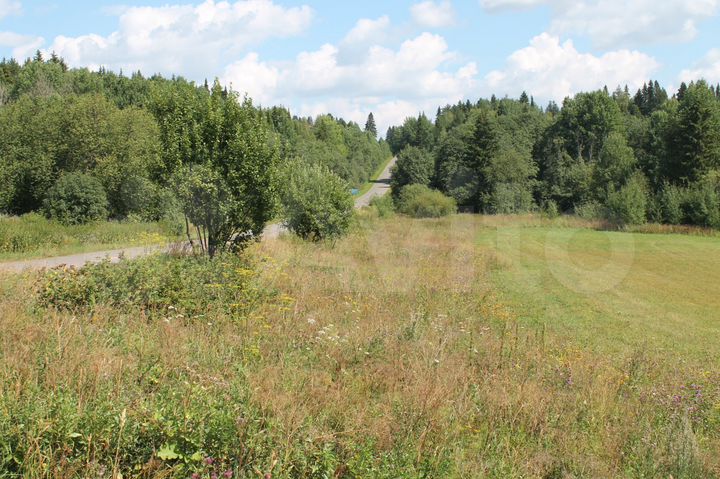 Участок 2,16 га (СНТ, ДНП)