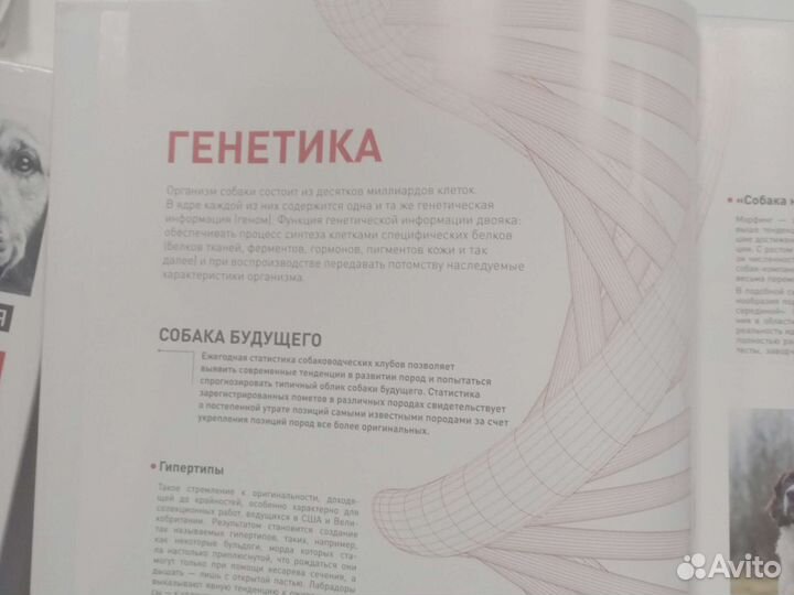 Энциклопедия Собаки