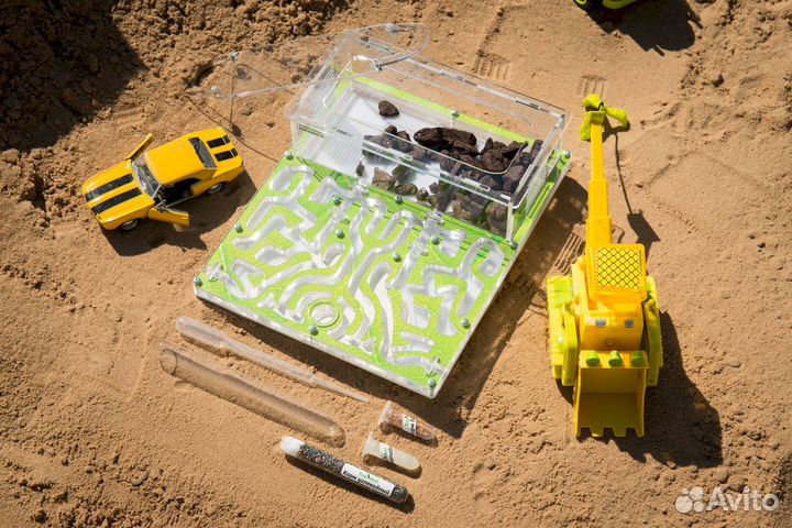 Формикарий/ Подарок для ребенка/ Муравьиная ферма