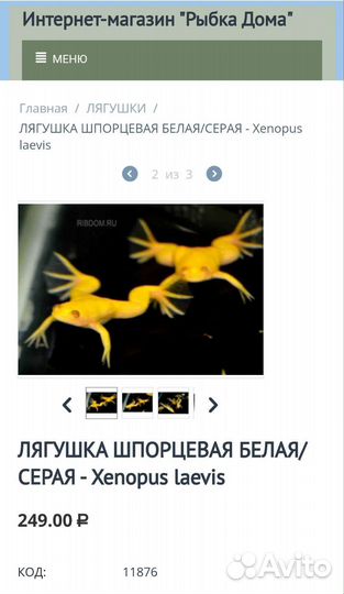 Шпорцевая лягушка и Аквариумные рыбки много