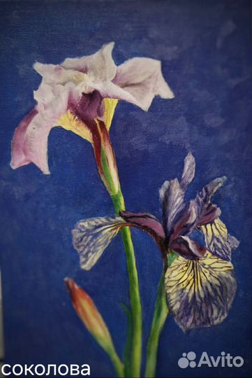 Рисунки на заказ