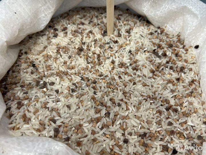 Каша для собак