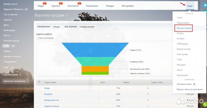 Роп /Построение /аудит продаж/ оцифровка в сrm