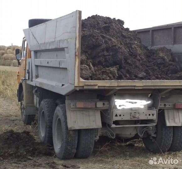 Перегной навоз