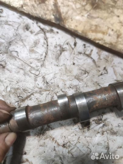 Распредвал днепр мт10-36