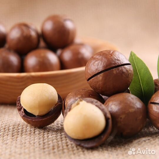 Орех макадамия