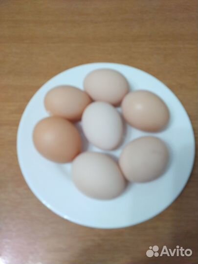 Яйцо куриное домашнее