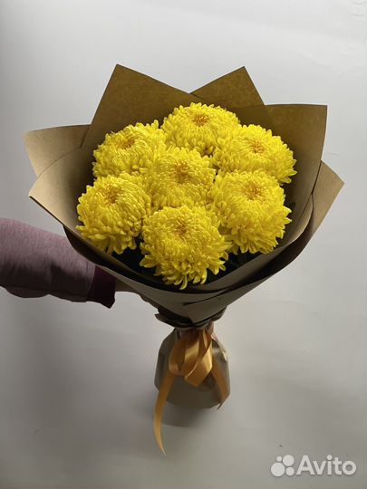 Хризантема