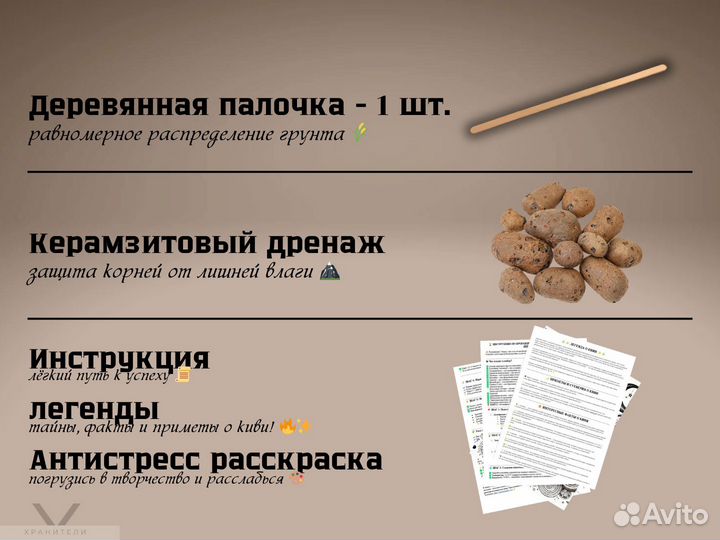 Набор для выращивания растений - Киви, 30 семян