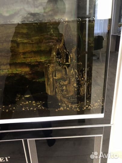 Аквариумные рыбки