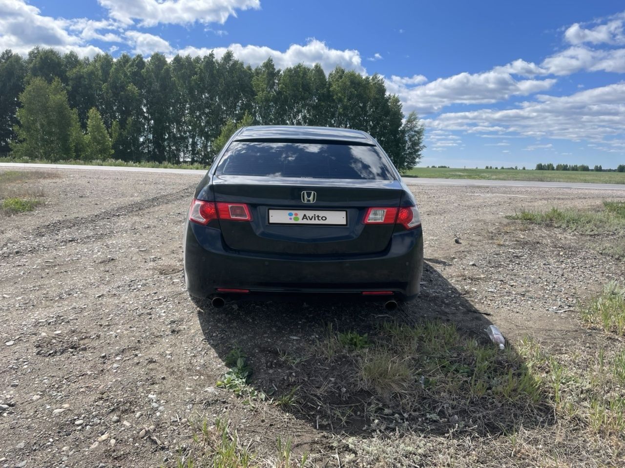 Honda Accord: фото владельца