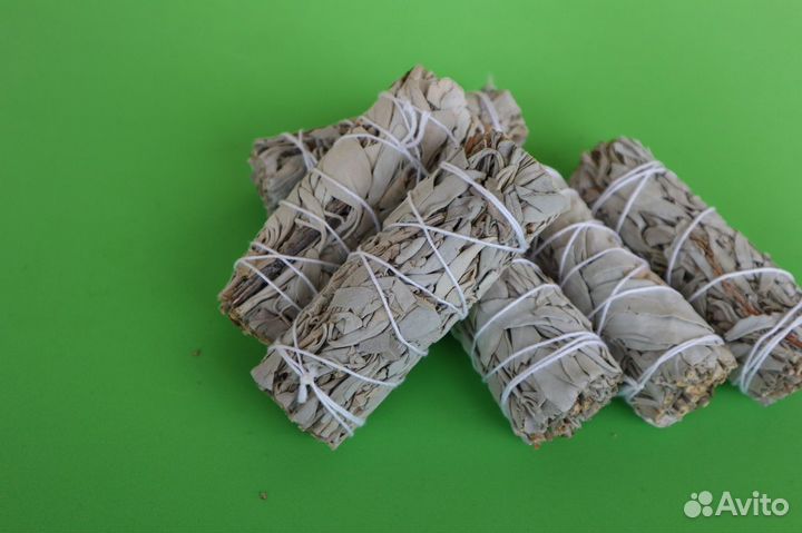 Шалфей Белый от 20шт опт для Озон