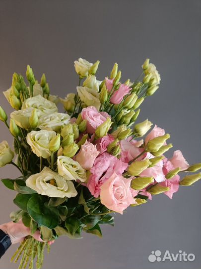 Эустома Цветы с доставкой