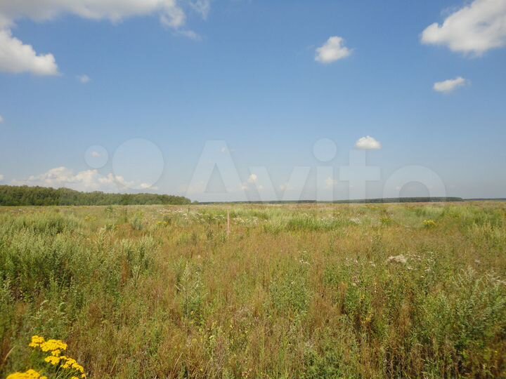 Участок 2,45 га (СНТ, ДНП)