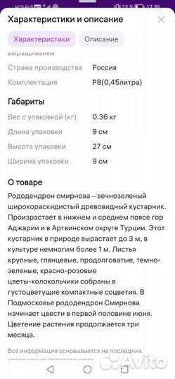 Рододендрон