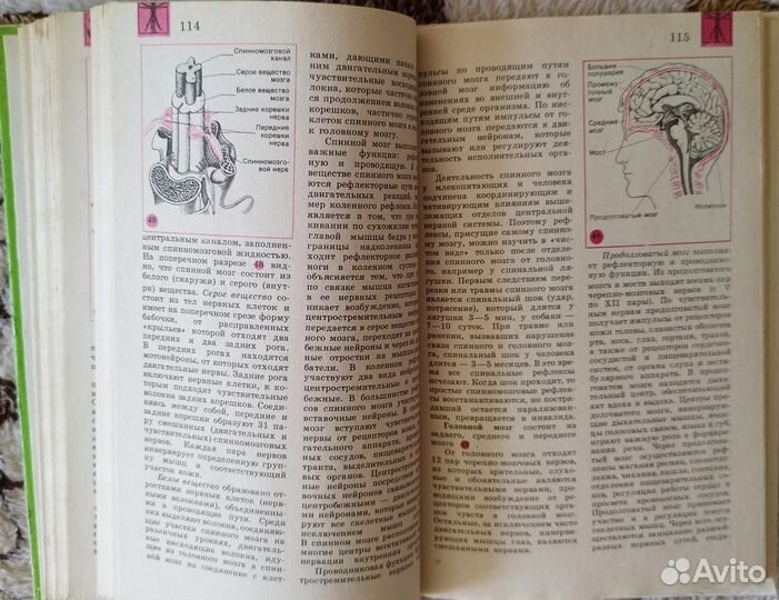 Биология. Справочные материалы