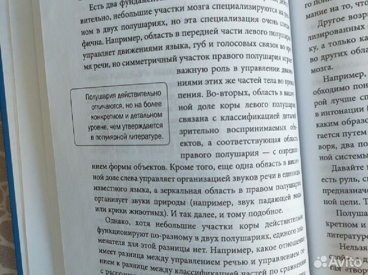 Книга Два игрока на одном поле мозга