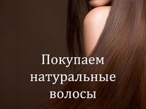 Скупка волос, продать, купим волосы Новоалтайск