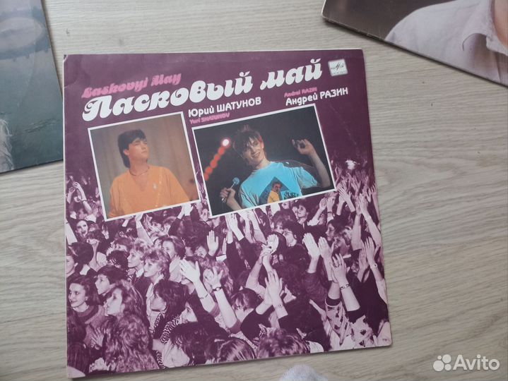 Виниловые пластинки