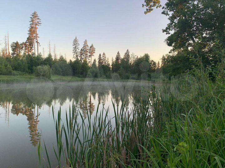 Участок 42 сот. (СНТ, ДНП)